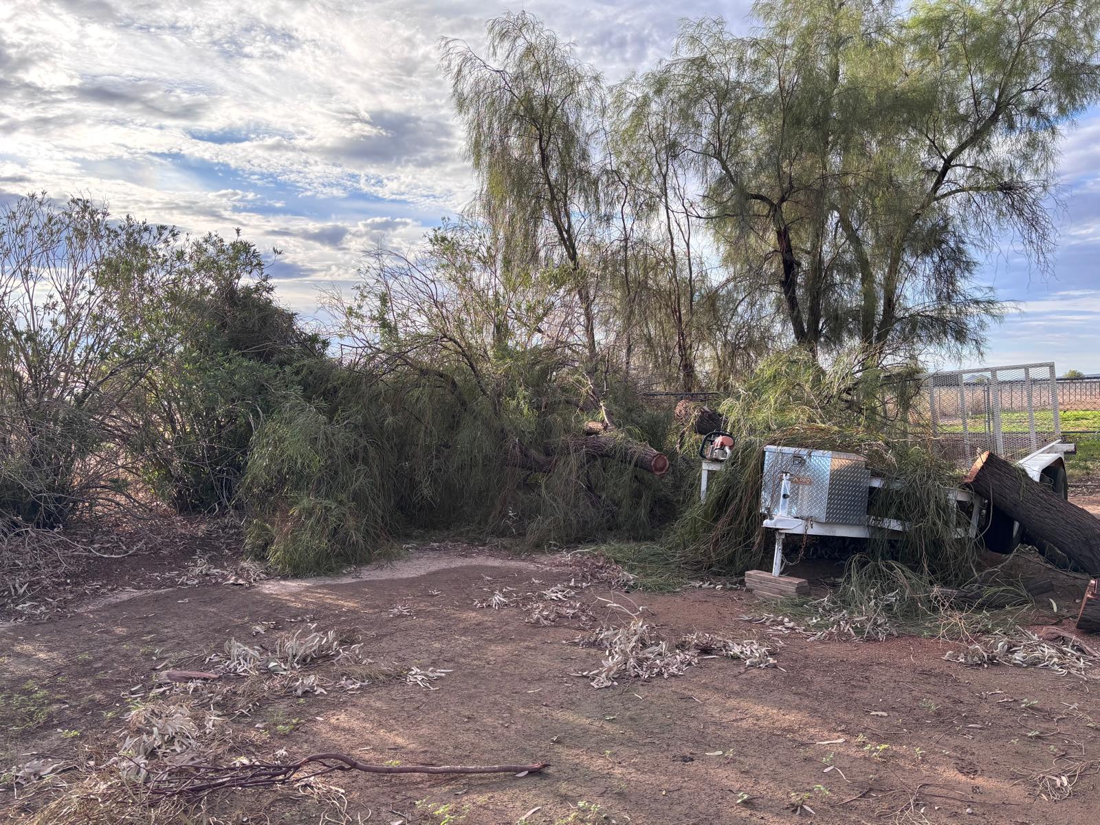 Equipo de Landscaping Barillenses trabajando en Casa Grande, AZ